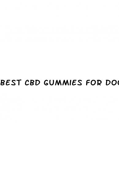 best cbd gummies for dog