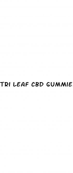 tri leaf cbd gummies scam