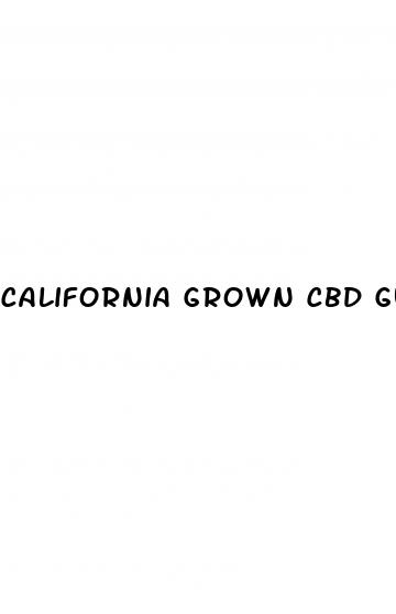 california grown cbd gummies