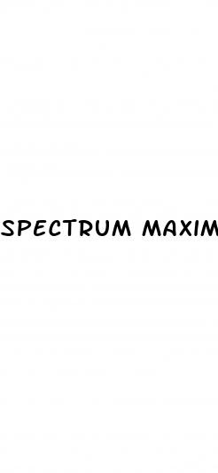 spectrum maximum strength cbd gummies 300mg