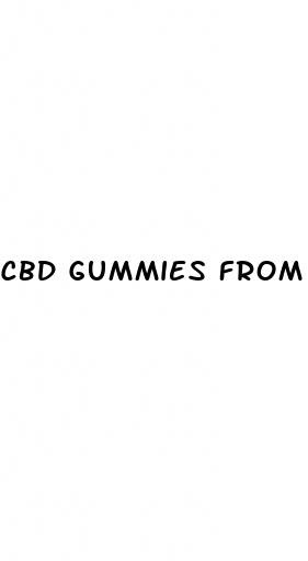 cbd gummies from icbd