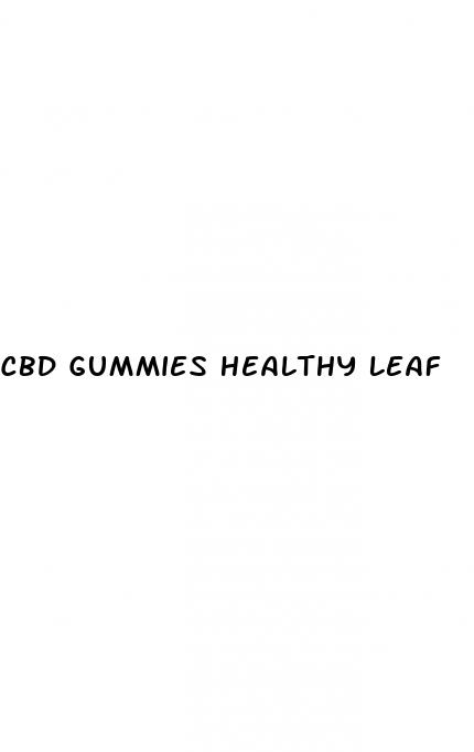 cbd gummies healthy leaf