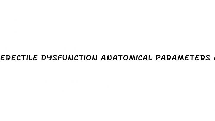 erectile dysfunction anatomical parameters etiology diagnosis and therapy