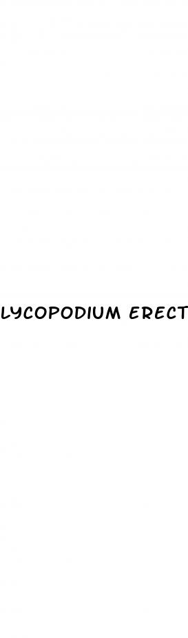 lycopodium erectile dysfunction