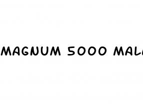 magnum 5000 male enhancement