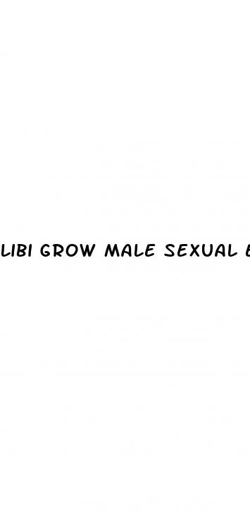 libi grow male sexual enhancer pills