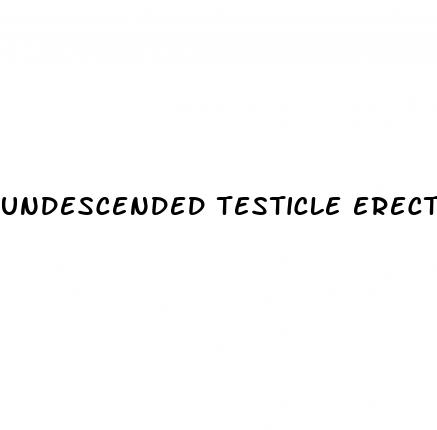 undescended testicle erectile dysfunction