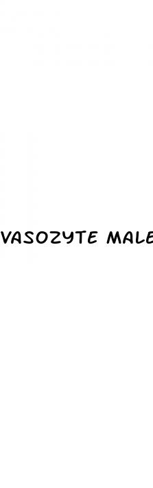 vasozyte male enhancement reviews