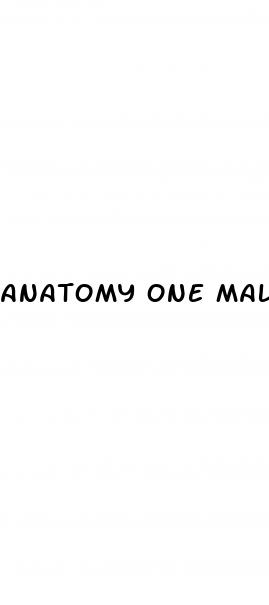 anatomy one male enhancement reviews