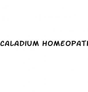 caladium homeopathic medicine erectile dysfunction