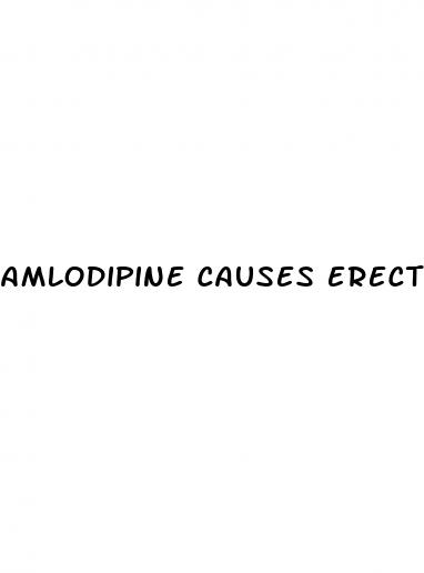 amlodipine causes erectile dysfunction