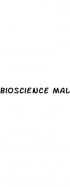 bioscience male enhancement gummies