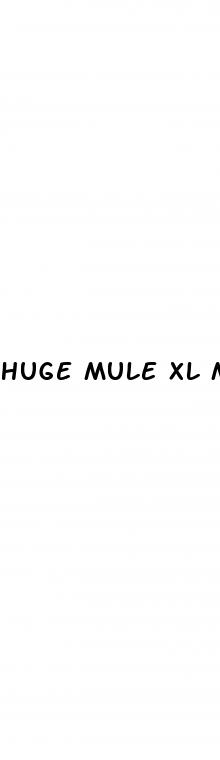 huge mule xl male enhancement pills