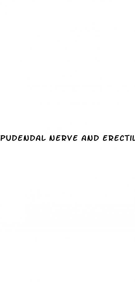 pudendal nerve and erectile dysfunction