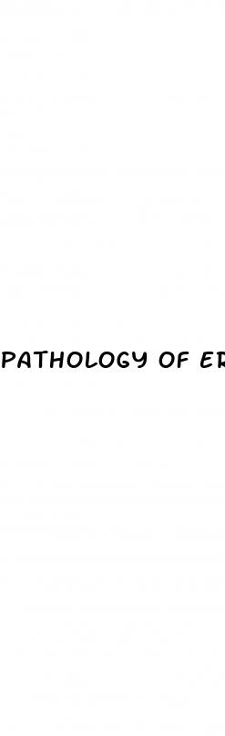 pathology of erectile dysfunction