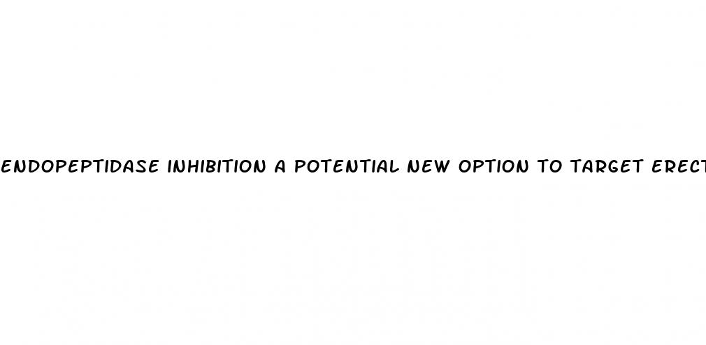 endopeptidase inhibition a potential new option to target erectile dysfunction