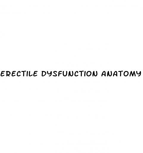 erectile dysfunction anatomy physiology