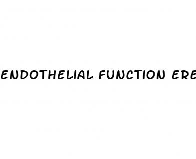 endothelial function erectile dysfunction