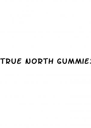 true north gummies male enhancement