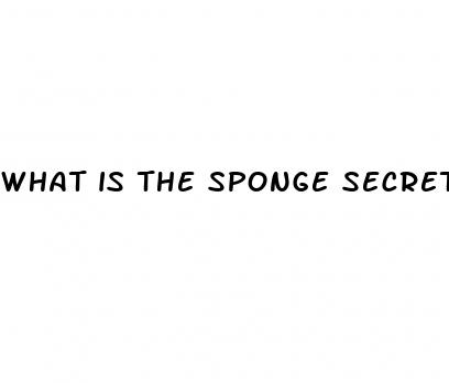 what is the sponge secret for male enhancement