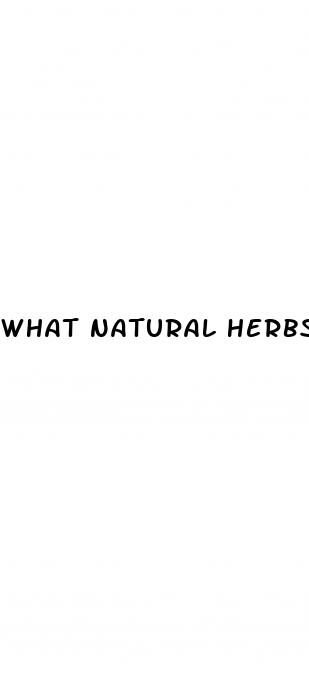 what natural herbs help with erectile dysfunction