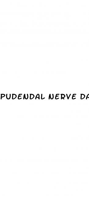 pudendal nerve damage and erectile dysfunction