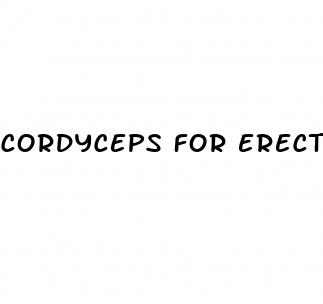 cordyceps for erectile dysfunction