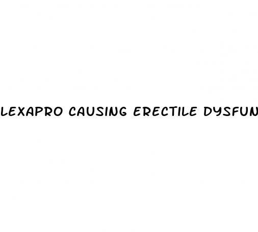 lexapro causing erectile dysfunction