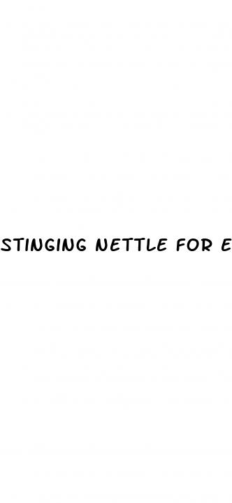 stinging nettle for erectile dysfunction