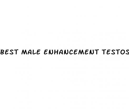 best male enhancement testosterone booster