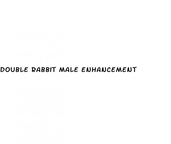 double rabbit male enhancement