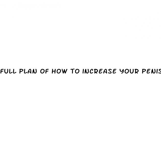 full plan of how to increase your penis size naturally