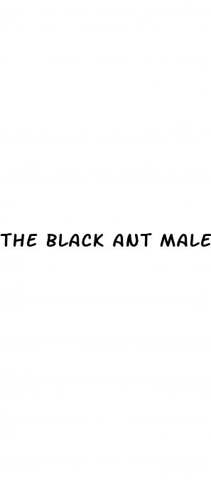 the black ant male enhancement pill