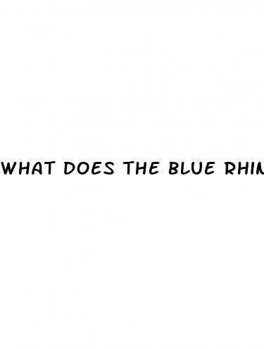 what does the blue rhino pill do