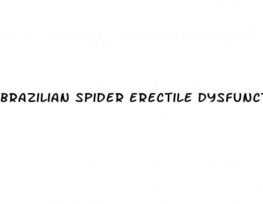 brazilian spider erectile dysfunction