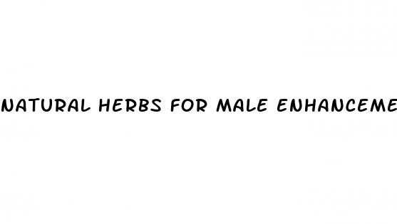 natural herbs for male enhancement in nigeria