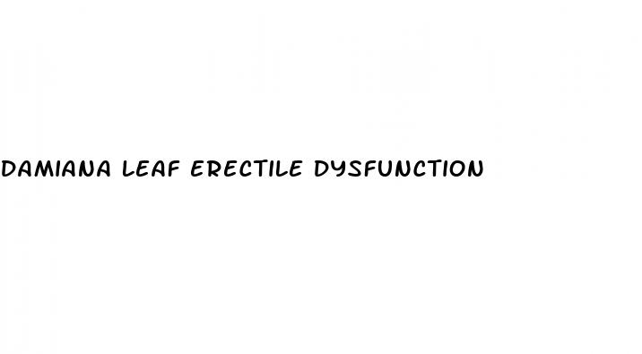 damiana leaf erectile dysfunction