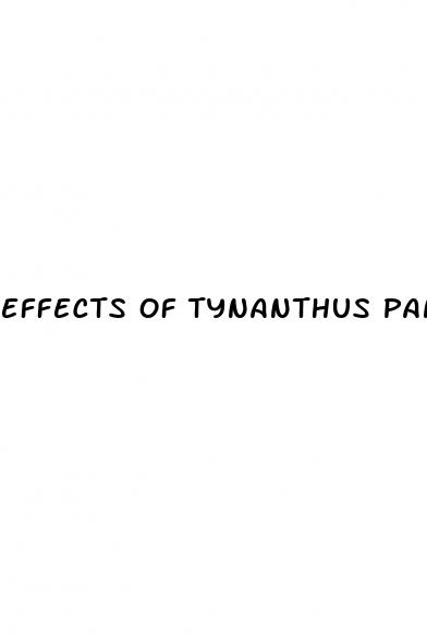 effects of tynanthus panurensis on erectile dysfunction