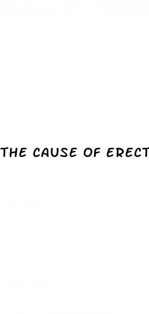 the cause of erectile dysfunction