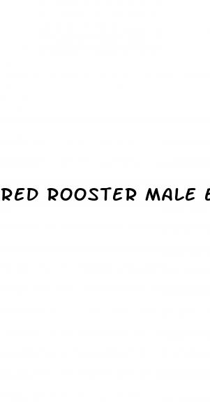 red rooster male enhancement