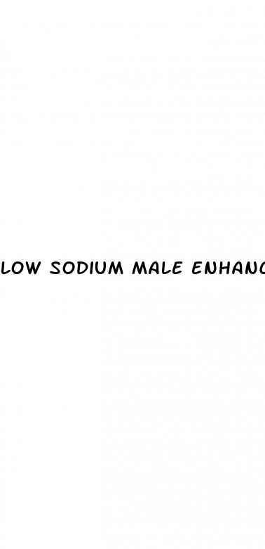 low sodium male enhancement suppliment testosterone