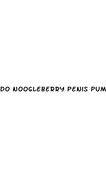 do noogleberry penis pumps work