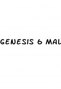 genesis 6 male enhancement