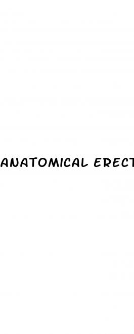 anatomical erectile dysfunction