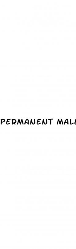 permanent male enhancement