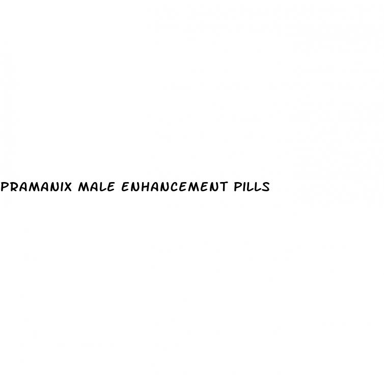 pramanix male enhancement pills