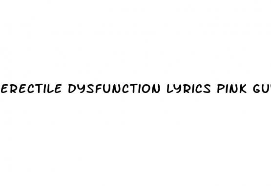 erectile dysfunction lyrics pink guy