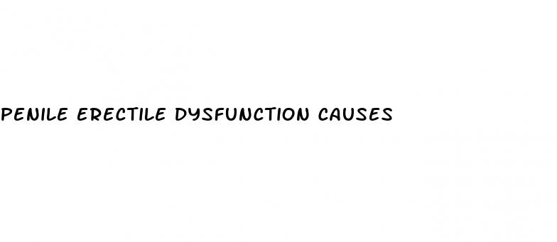 penile erectile dysfunction causes