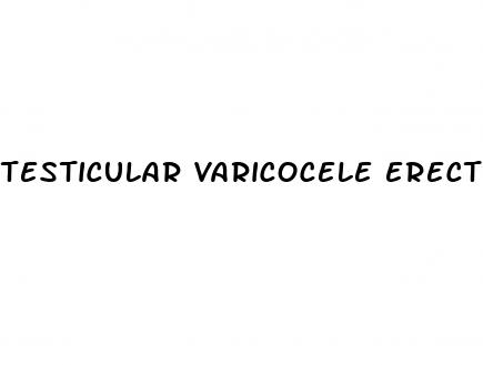 testicular varicocele erectile dysfunction