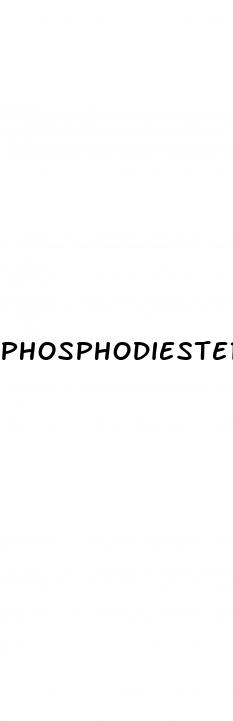 phosphodiesterase inhibitors erectile dysfunction